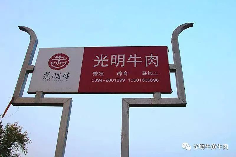 153350tpy5n7lq719zl989.jpg