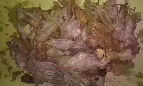 微信图片_20200308205520.jpg