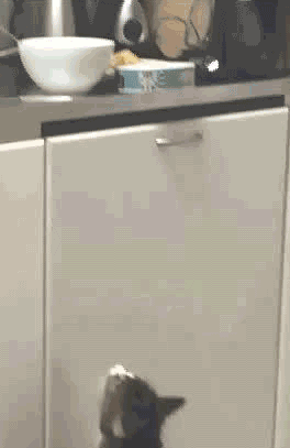 78c615ea42d44ab09fe5c2dcf622be81.gif