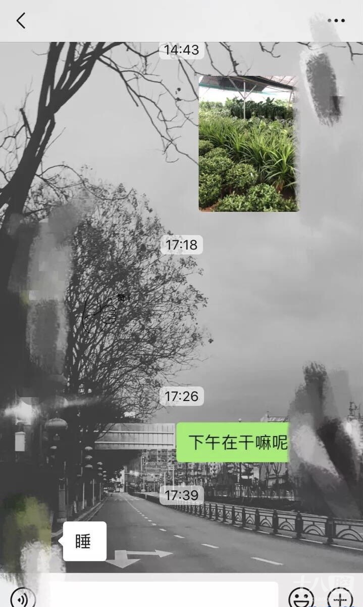 173919yfnrolpr7kwrxirr.png