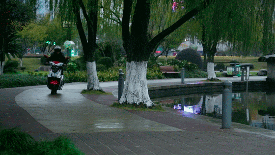 105914kb8lyob69wybz63w.jpg