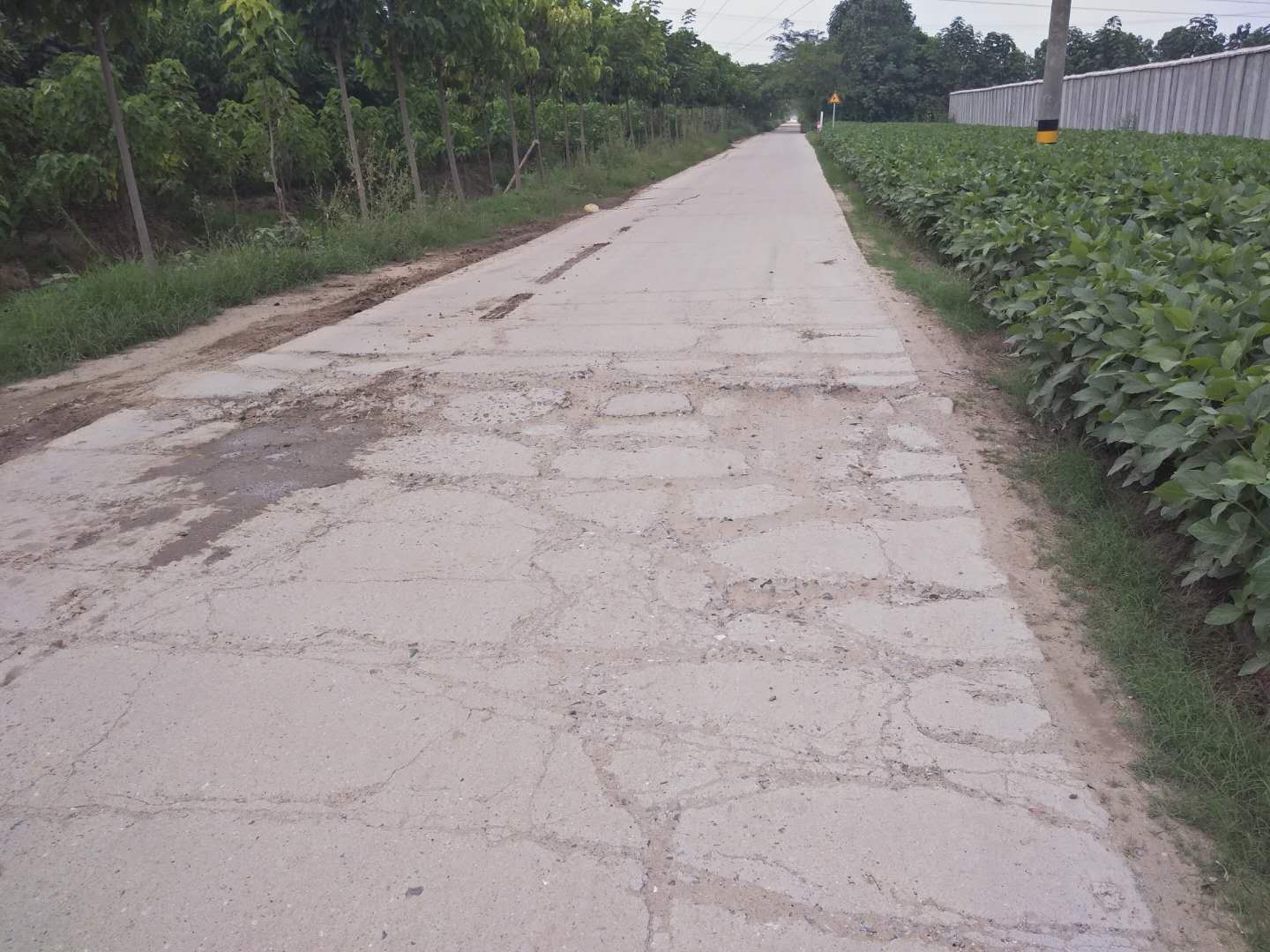 微信图片_20200809164158.jpg