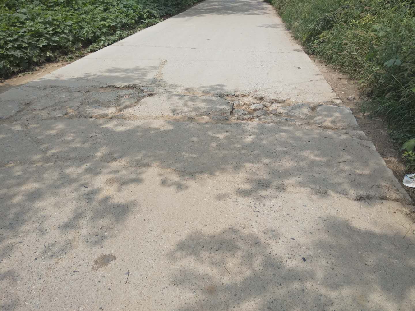 微信图片_20200809164215.jpg