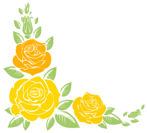 165528ijcqjqsej6sekqp6.jpg