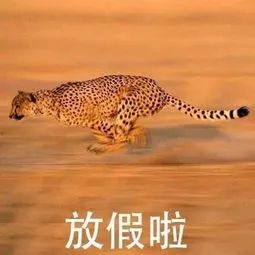 211301s53nnqihhei50wkh.jpg