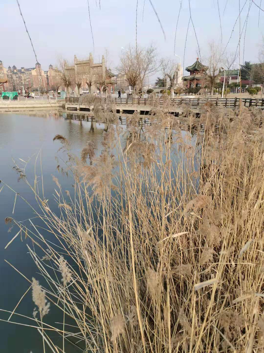微信图片_20210131104144.jpg