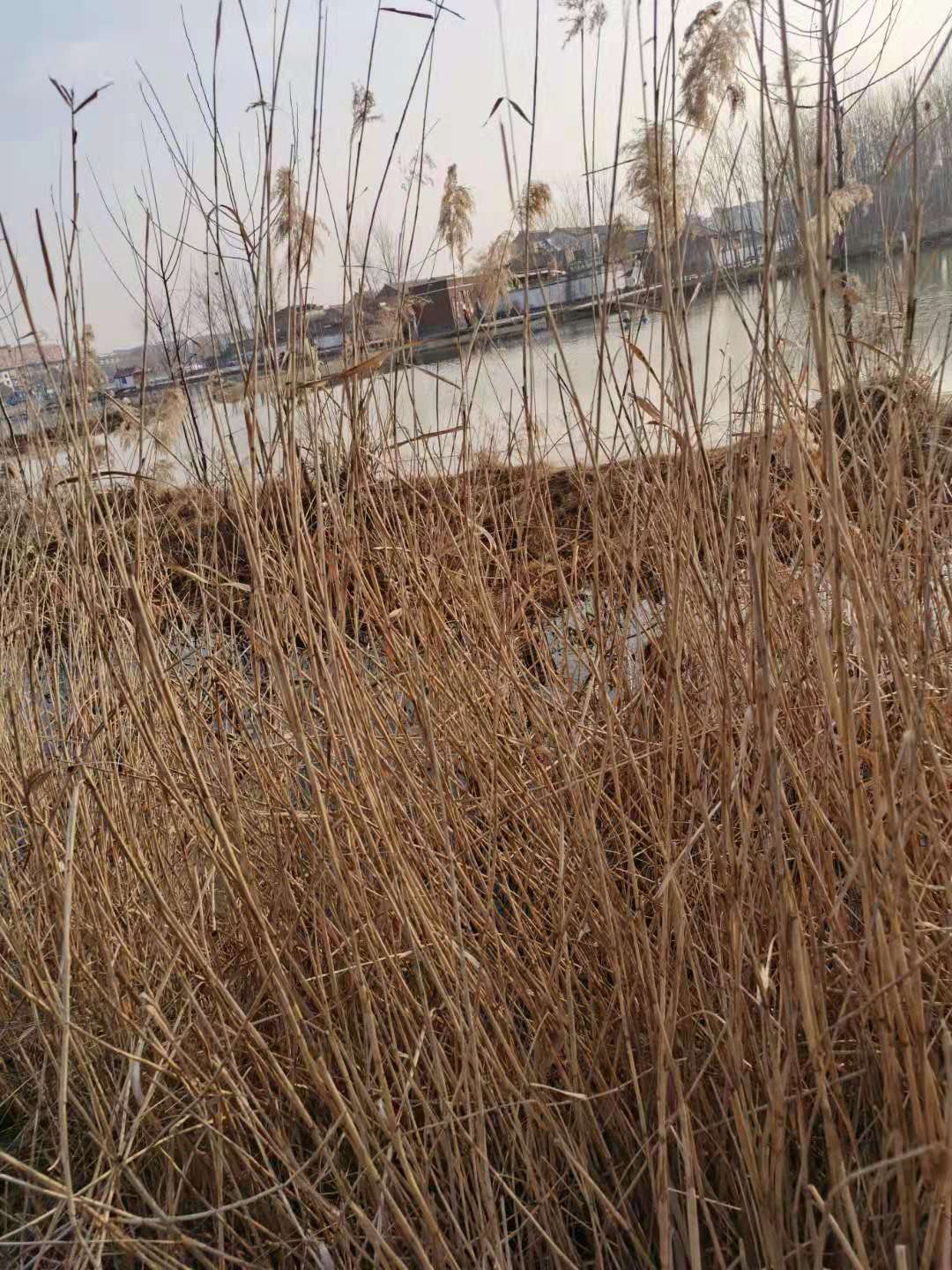 微信图片_20210131104203.jpg