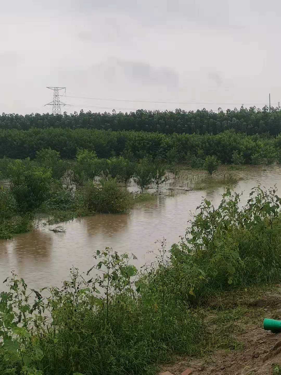 路基高出田地许多，没有排水设施