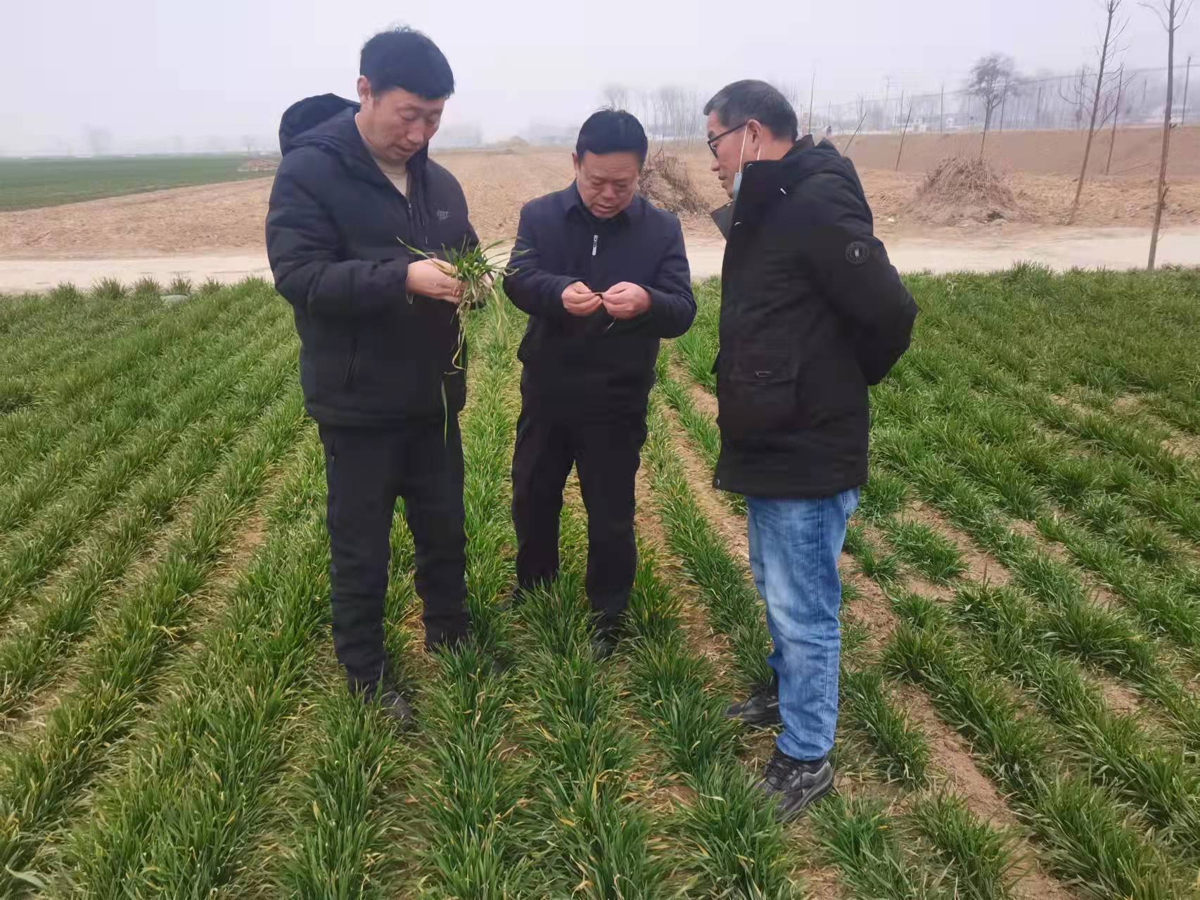 微信图片_20220221203539.jpg
